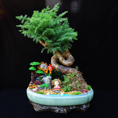 武漢花卉綠植市場概覽 從公司苗木到寫字樓租擺的全面解析